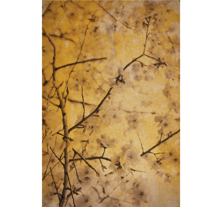 Vejice sakure cvetje in rastline senčilo - TenStickers