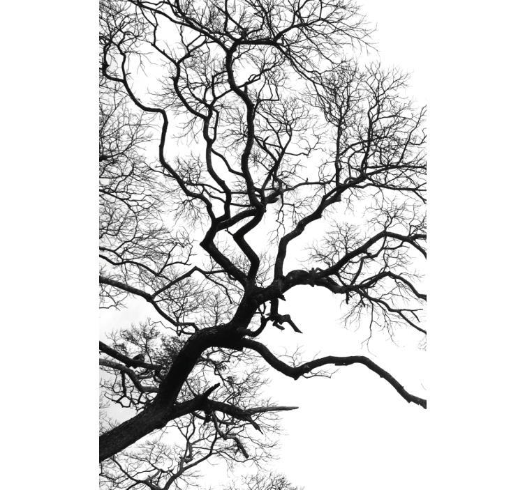 rolo slikanje z lomljenjem ene lesene veje - TenStickers