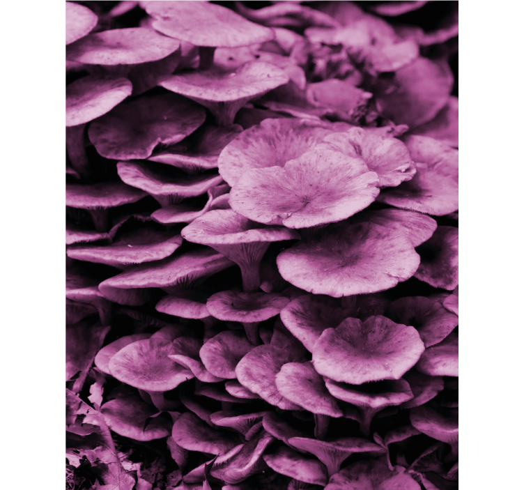 Rožnate gobe škrge slikanje na rolo - TenStickers