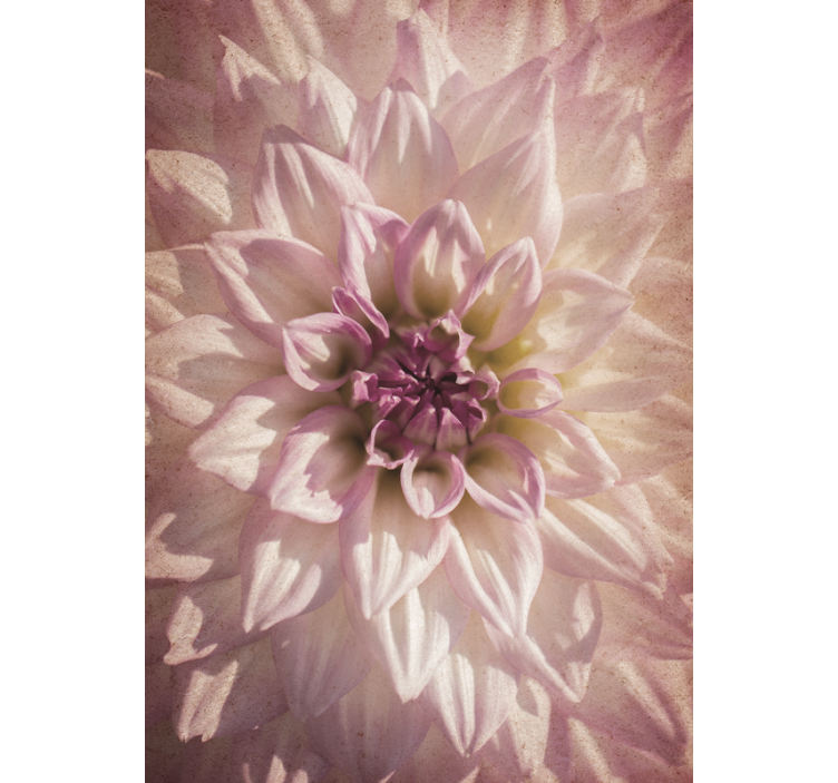 Delicate bloom cvetje in rastline v senčnem okolju - TenStickers