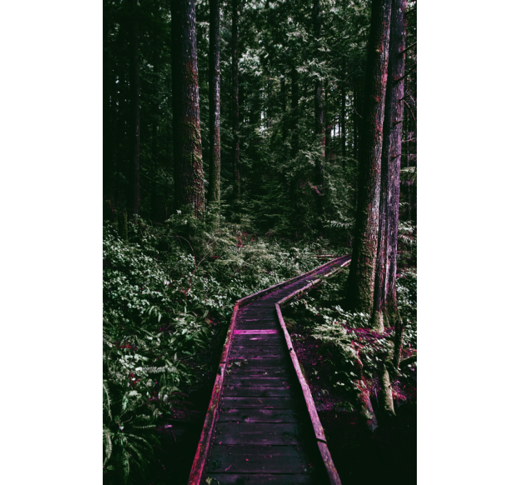 Gozdna pot gred rolo senčilo - TenStickers