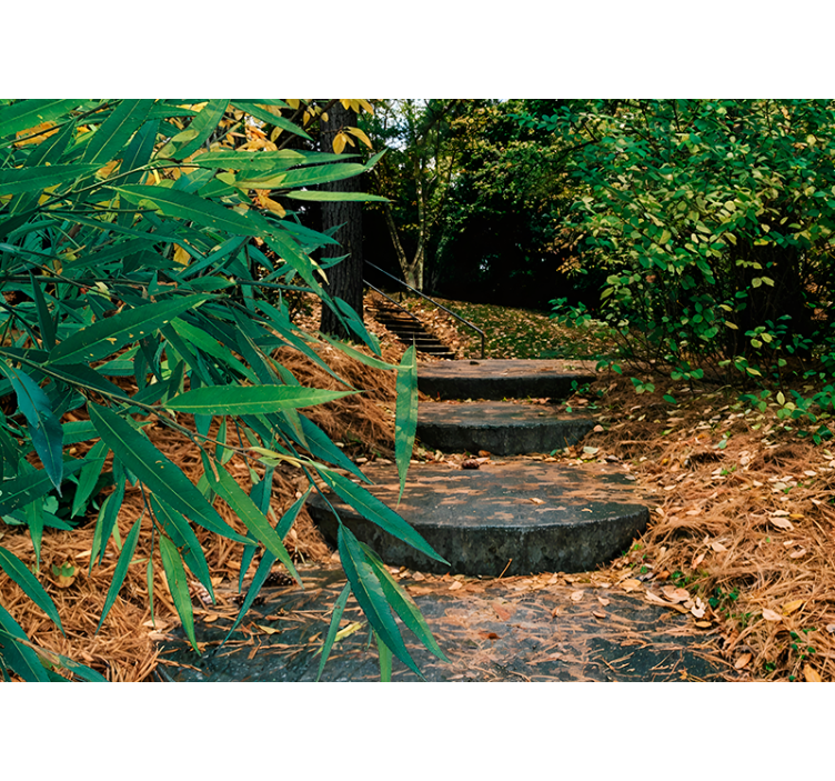 3d gozdna in majhna cestna originalna roleta - TenStickers