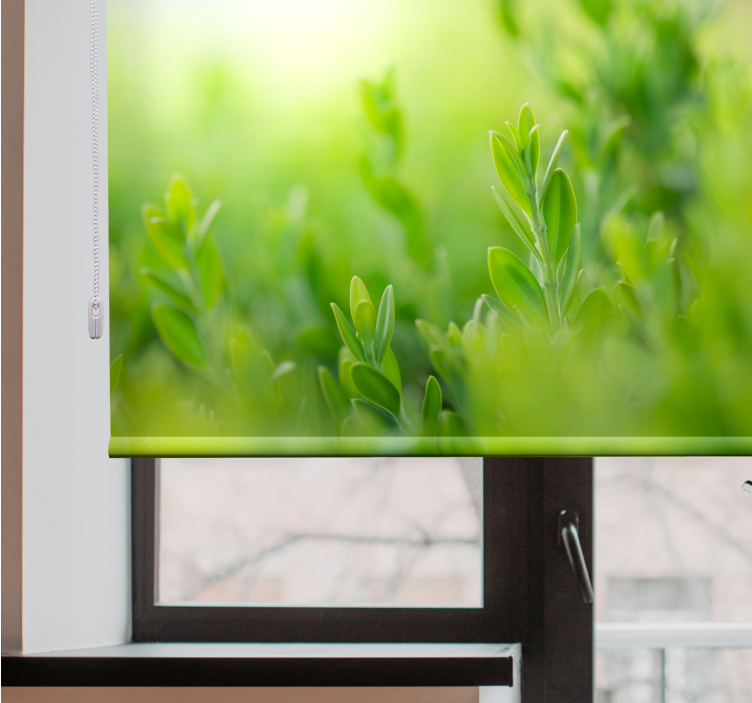 Sliko bujnega zelenja cvetje in rastline senčilo - TenStickers