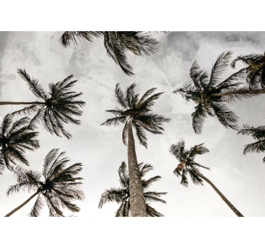 Sivo rolo zaveso fotografija palm v nizkem kotu - TenStickers