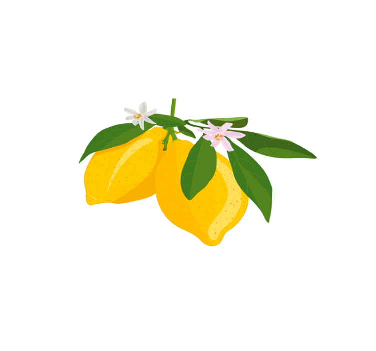 Lemon branch illustration izvirna jedilna podloga - TenStickers