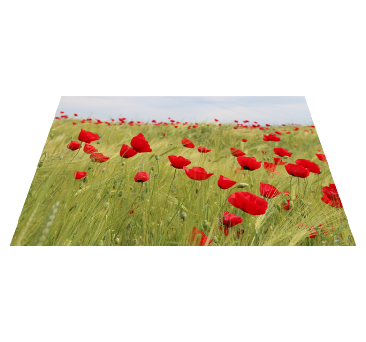 Poppy field placemats izvirna jedilna podloga - TenStickers