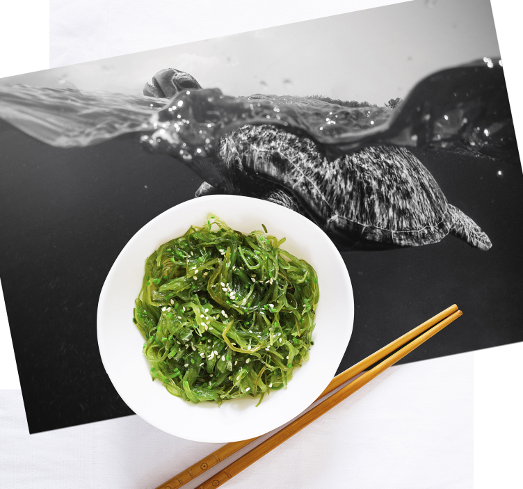 Enobarvne želve plavajoče črne platišča - TenStickers