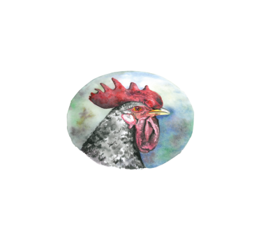 Colorful rooster portrait izvirna jedilna podloga - TenStickers