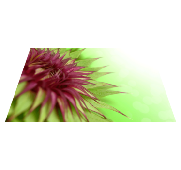 Kozlina elegantna podloga - TenStickers