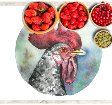 Colorful rooster portrait izvirna jedilna podloga - TenStickers