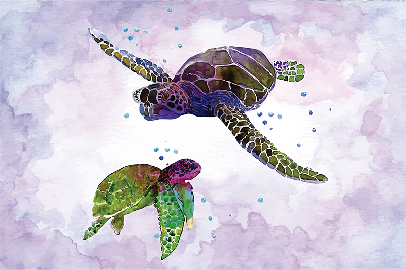 Colorful turtle illustration izvirna jedilna podloga - TenStickers