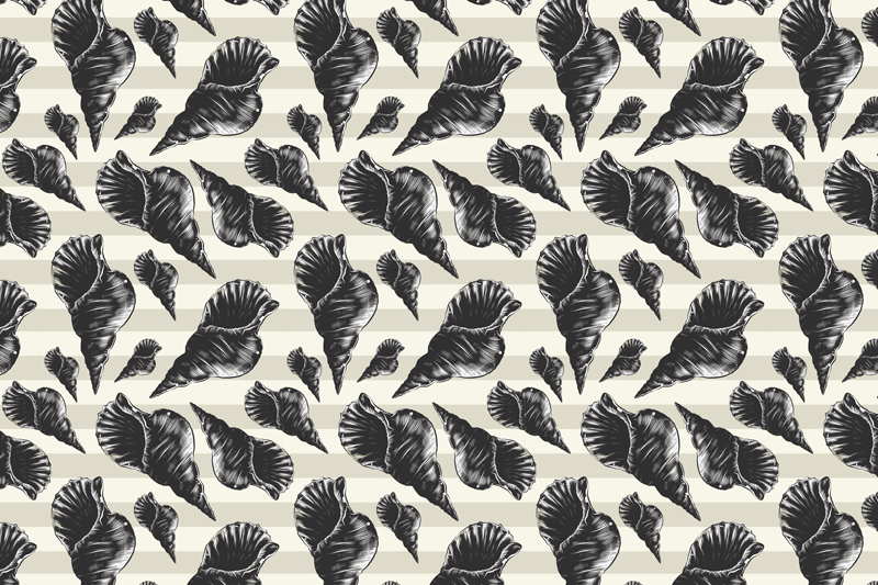 Ročno risanje školjk starih školjkarskih pogrinjkov - TenStickers