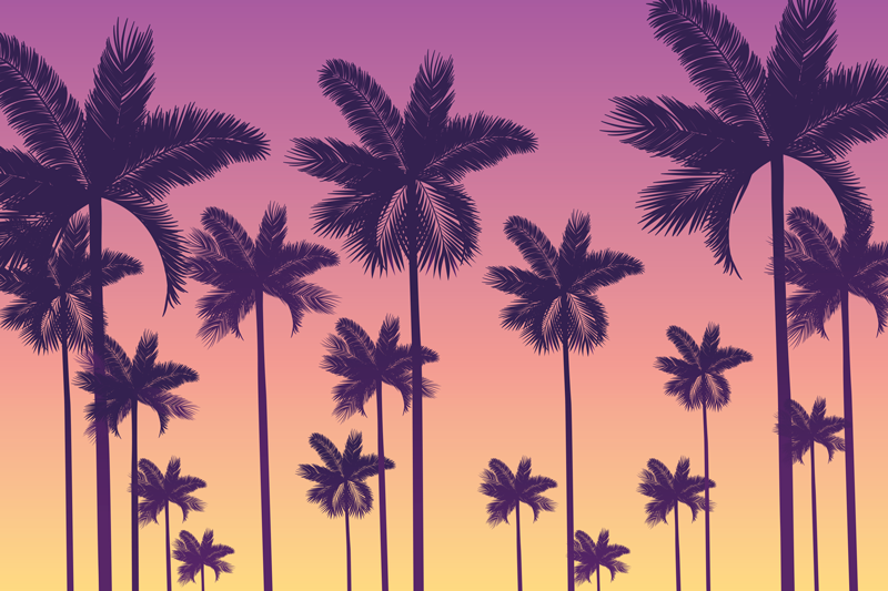 Palm tree sunset izvirna jedilna podloga - TenStickers