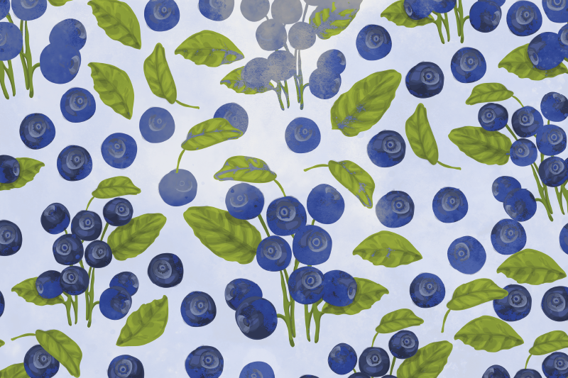 Blueberry leaf pattern izvirna jedilna podloga - TenStickers