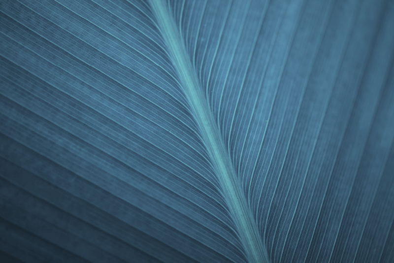 Veliki modro sivi listi sodobni pogrinjki - TenStickers