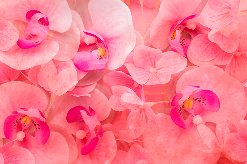 Graceful bloom composition teksturna pogrinjek - TenStickers