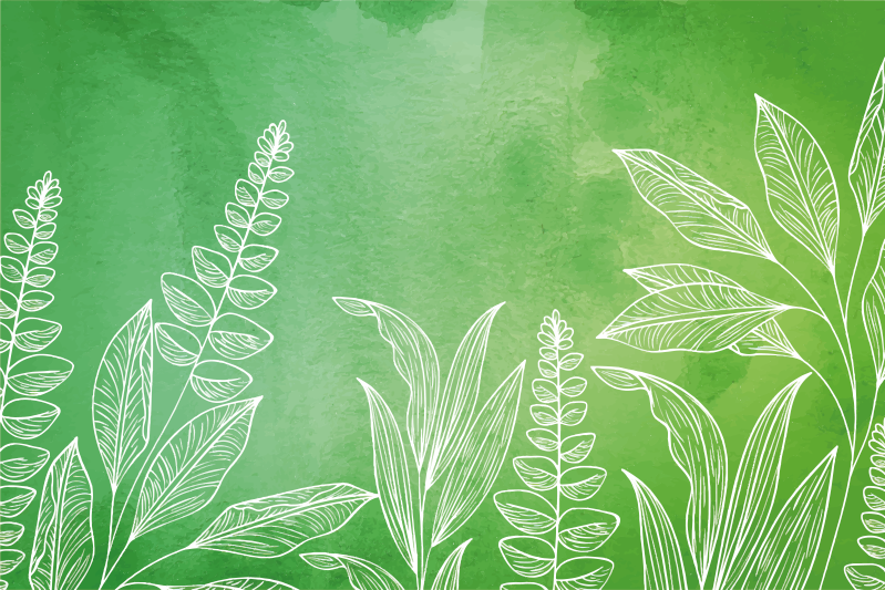 Izvirno zelena barva s pogrinjki iz listov - TenStickers