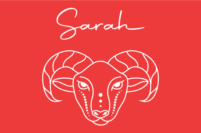 Stylized ram illustration personaliziran pogrinjek - TenStickers