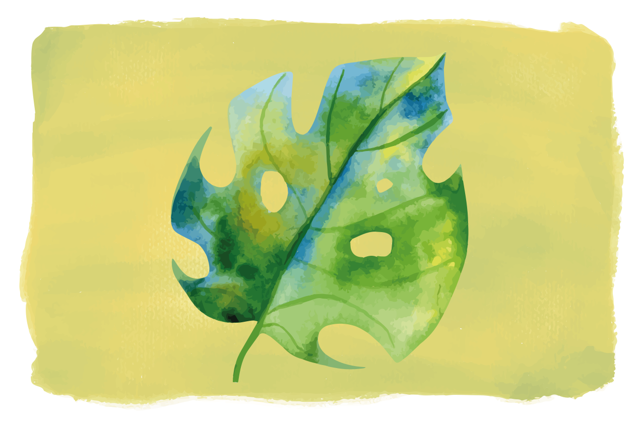 Monstera leaf design izvirna jedilna podloga - TenStickers