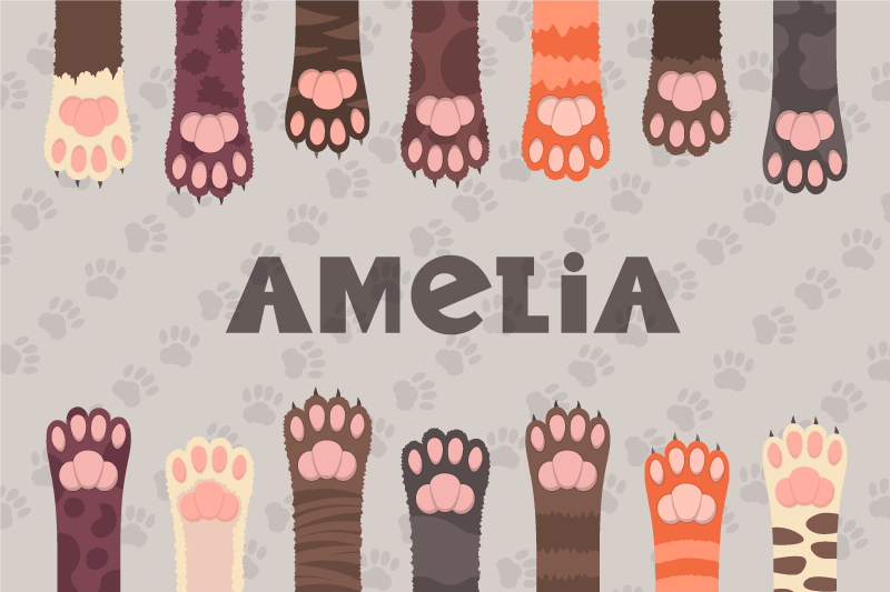 Raznobarvne mačke tace personalizirane pogrinjke - TenStickers