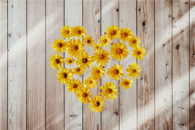 Srčkana marjetica na teksturi lesa elegantni pogrinjki - TenStickers