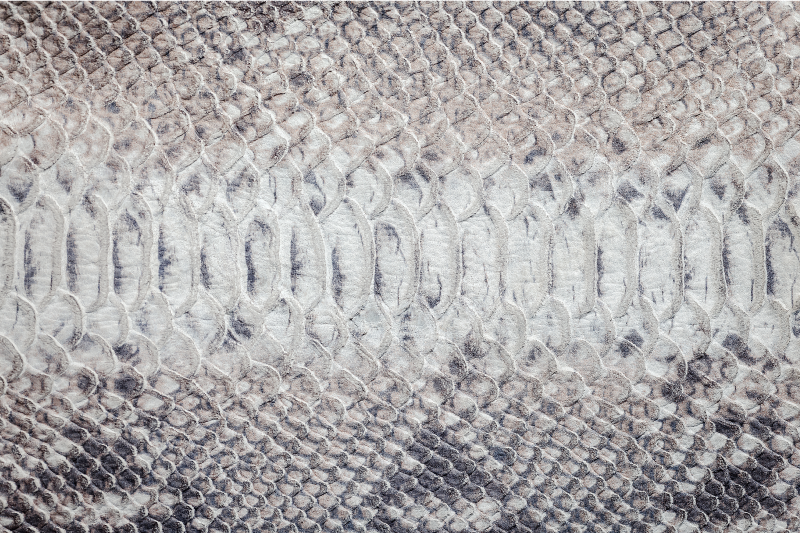 Serpent skin texture teksturna pogrinjek - TenStickers