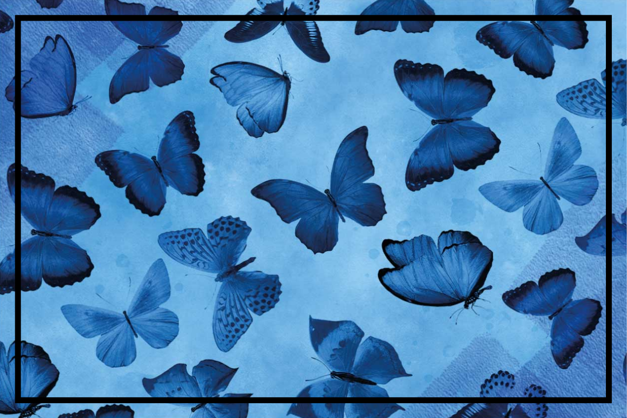 Butterfly pattern background teksturna pogrinjek - TenStickers