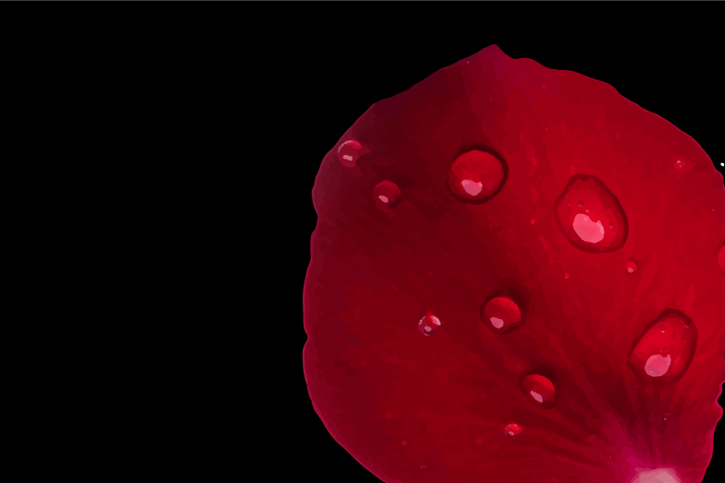 Red petal surface teksturna pogrinjek - TenStickers