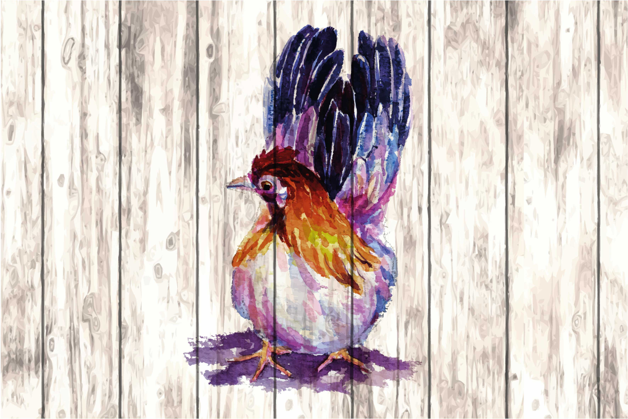 Colorful bird illustration izvirna jedilna podloga - TenStickers