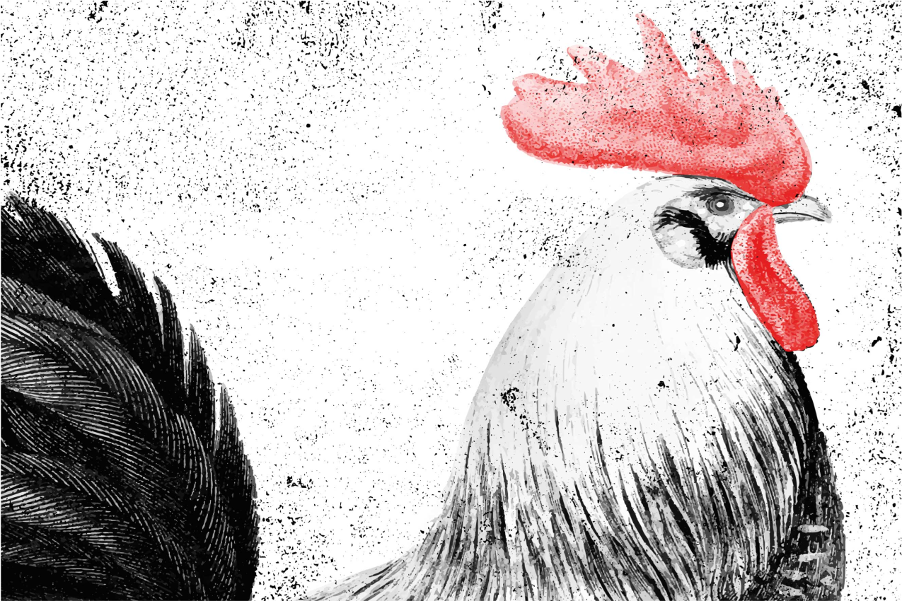 Rooster illustration izvirna jedilna podloga - TenStickers