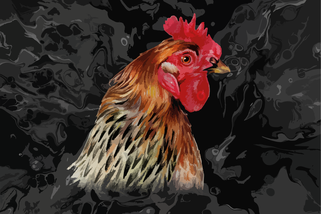Colorful chicken portrait izvirna jedilna podloga - TenStickers