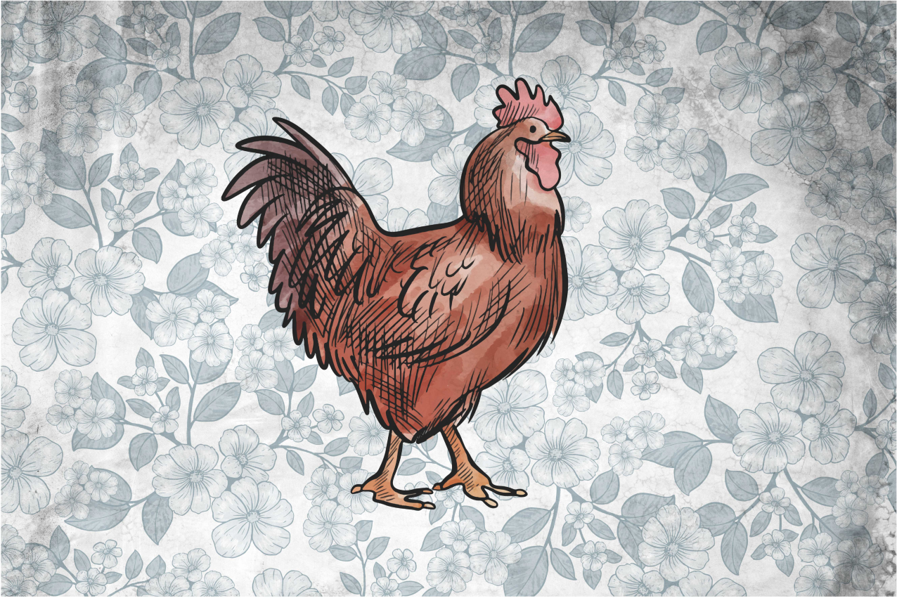Rustic chicken illustration izvirna jedilna podloga - TenStickers