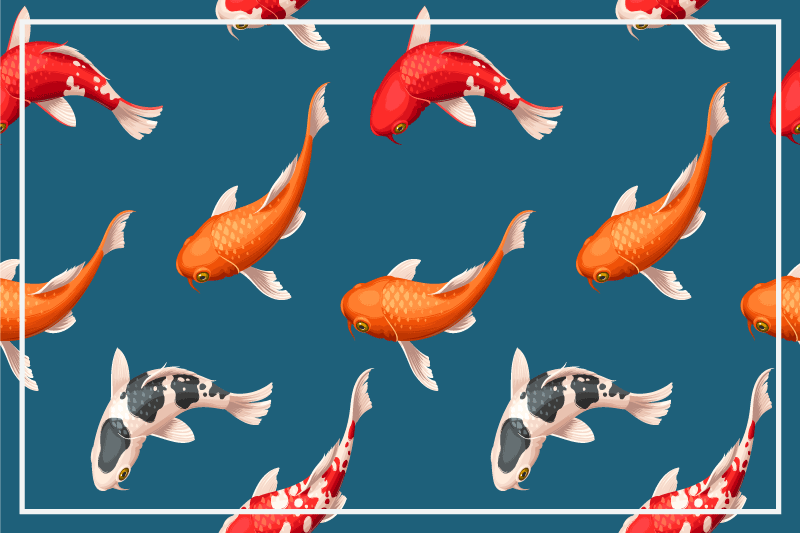 Colorful koi fish pattern izvirna jedilna podloga - TenStickers