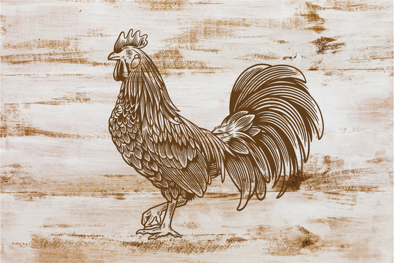 Stylish rooster illustration moderno podstavki - TenStickers