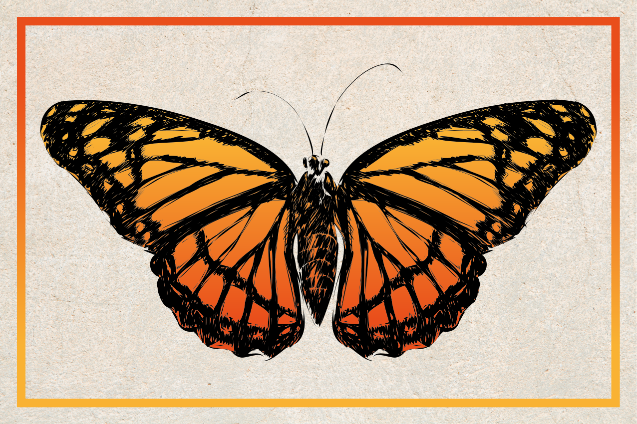 Orange monarch butterfly izvirna jedilna podloga - TenStickers