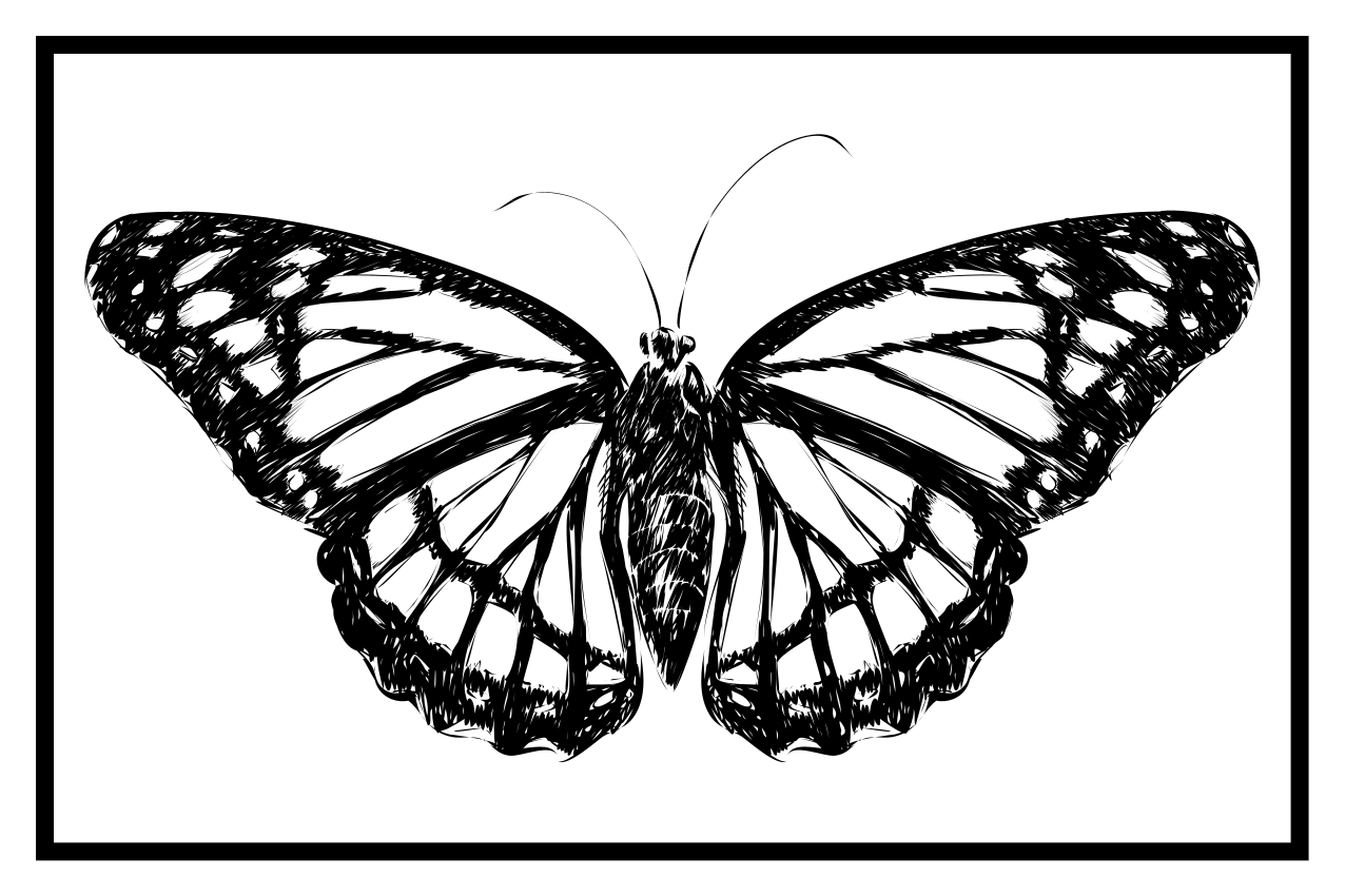 Elegant butterfly illustration izvirna jedilna podloga - TenStickers