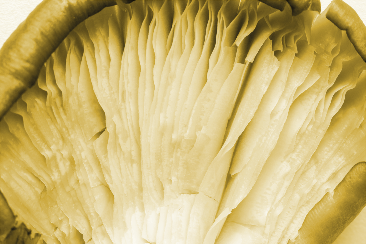 Curved leaf layers teksturna pogrinjek - TenStickers