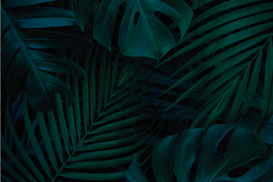 Tropical leaf appeal teksturna pogrinjek - TenStickers