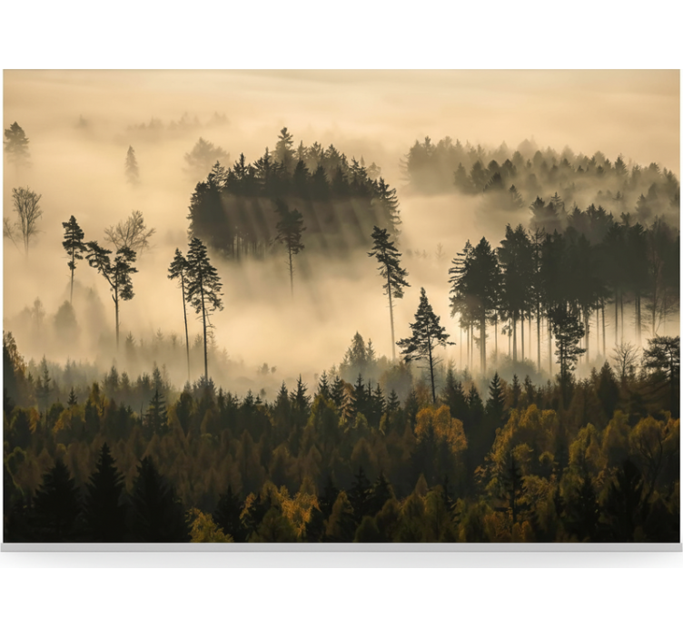 Ethereal morning mist fototapeta gozd - TenStickers