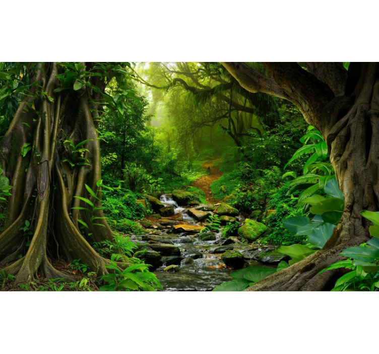 Tropical forest oasis fototapeta gozd - TenStickers