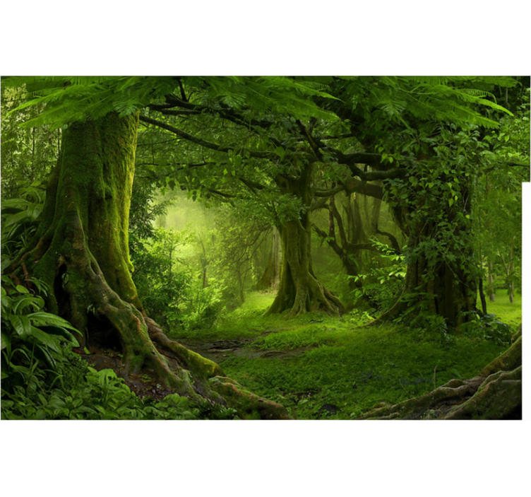Lush woodland escape fototapeta gozd - TenStickers