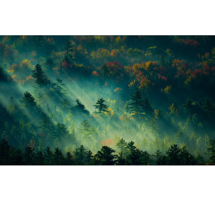 The moody forest fototapeta gozd - TenStickers