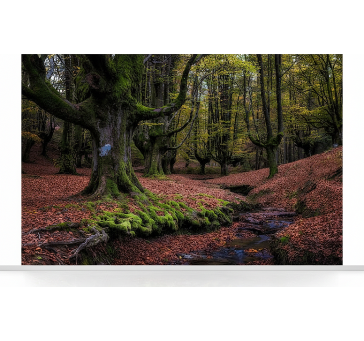 Enchanted autumn forest fototapeta gozd - TenStickers