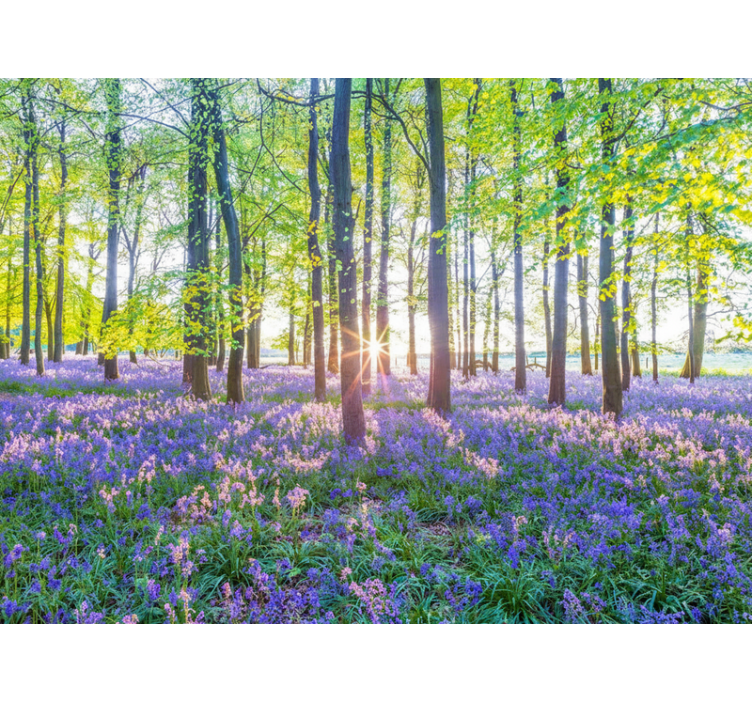 Nature-inspired modernism fototapeta gozd - TenStickers