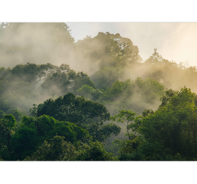 Lush jungle canopy fototapeta gozd - TenStickers