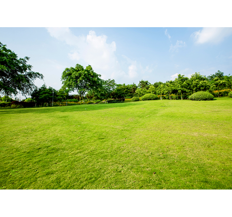 Stenski zeleni travniški zeleni travniki - TenStickers