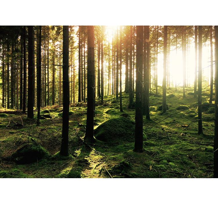 Skrivališče v steni gozda - TenStickers