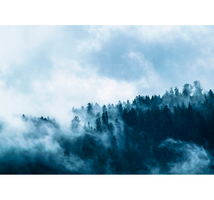 Megleni gozdni prizor Fototapete za dnevno sobo - TenStickers