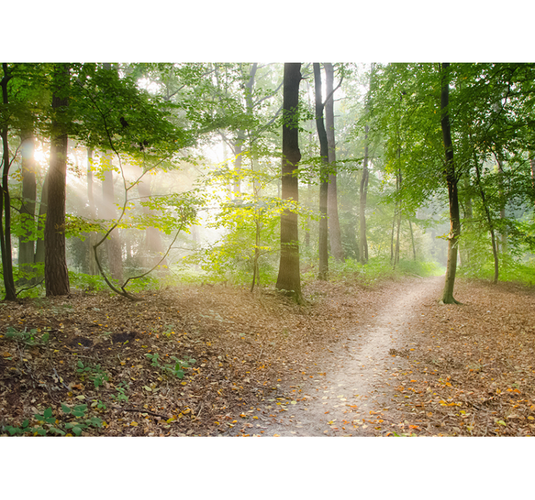 Omamljanje gozdnih stenskih stena - TenStickers