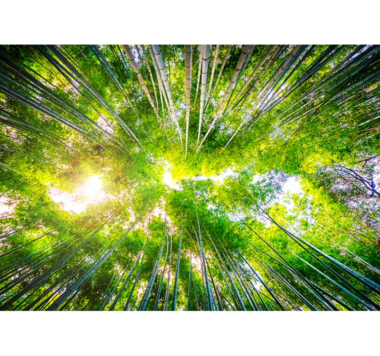 Stenski stenski stenski okvir iz bambusa - TenStickers